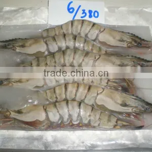 Shrimps thumbnail-1