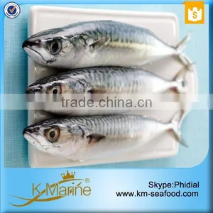 Block Frozen Japanese Mackerel Fish thumbnail-6