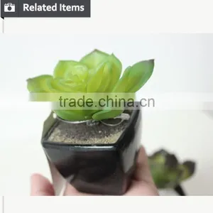 Wholesale Potted Succulent Wedding Decor Mini Succulent Artificial Lavender thumbnail-4
