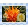 Supply Pure Organic Safflower Seed Oil thumbnail-1