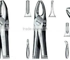 Stainless Steel Dental Extracting Forceps thumbnail-1
