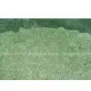 Sell IQF Basil Leaf thumbnail-1
