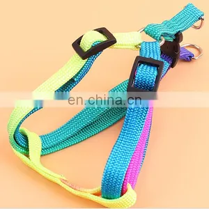 Dog Collar thumbnail-5