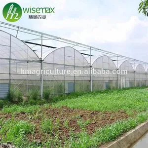 Easily Installed Commercial Tomato Multi Span Greenhouse for Sale thumbnail-1
