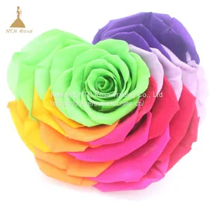 10cm Big Heart-Shape Preserved Rainbow Rose Flower thumbnail-1