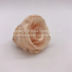 Preserved Rose Flowers for Wedding Decoration Flower Arrangement thumbnail-3
