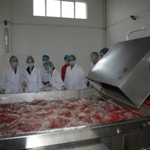 Ningxia Red Power Goji Co., Ltd. company overview - view 4 thumbnail