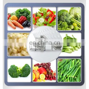 SS304 /316 Fully Automatic Good Quality Fruit Vegetable Washing Machine thumbnail-5