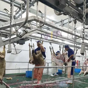 Sheep Equipment Foreleg Conveyor For Goat Slaughter House thumbnail-4