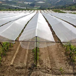Anti Hail Net for Apple Tree thumbnail-1