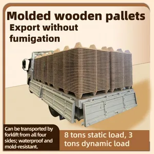 Dedicated Molded Wood Pallets for Sea Freight Water-Resistant Mold-Resistant, Fumigation-Free, and Facilitating Rapid Customs Clearance thumbnail-1