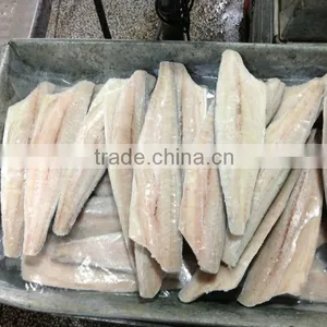 Spanish Mackerel Fillet and Scomberomorus Niphonius thumbnail-3