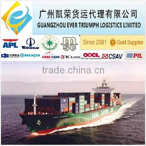 40hq Container Shipping From Guangzhou/Shenzhen to Europe thumbnail-1