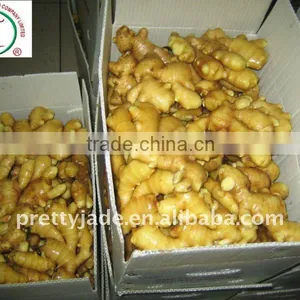 Provide Chinese Yellow Ginger thumbnail-1