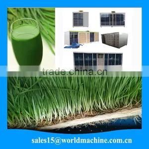 WHIR Saudi Arabia Greenhouse Agriculture Hydroponics for Growing Fodder Barley Grass thumbnail-2