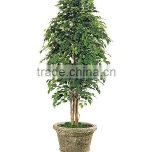 Artificial Ficus Trees thumbnail-1