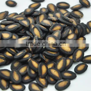 Melon Seeds For Sale thumbnail-2