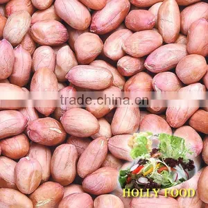 Grade A JAVA 60/70 Senegal African Peanut Kernel Red Skin Peanut Butter Freight to Qingdao World-wide Sales thumbnail-1