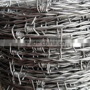 Galvanized Wire Mesh/Wire Mesh Fence/HeBei Barbed Wire Quality Choice thumbnail-4