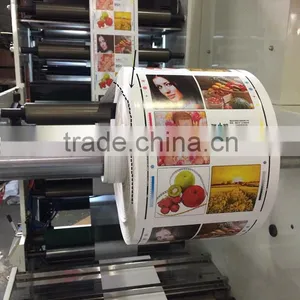 RY-600 High Speed Automatic Four Colors Flexo Printing Machine thumbnail-4