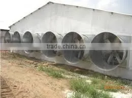 Ventilation Fan for Chicken Farming thumbnail-2