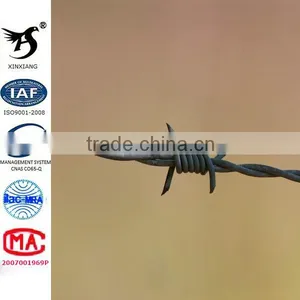 Galvanized Barbed Wire thumbnail-1