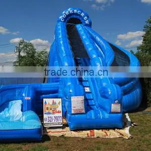 Giant Infaltable Water Slide thumbnail-3