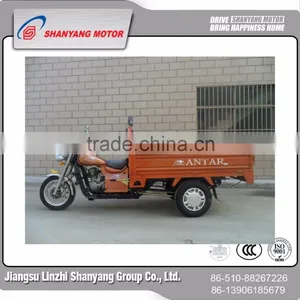 Motorcycle Rickshaw T-rex Motorcycle Trike (SY150ZH- C5) thumbnail-1