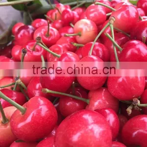China Paper Bagged Fresh Cherries thumbnail-4
