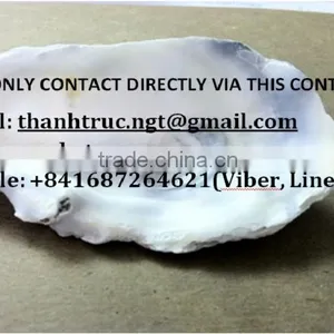 Supply Oyster Shells (anda.ty) thumbnail-1
