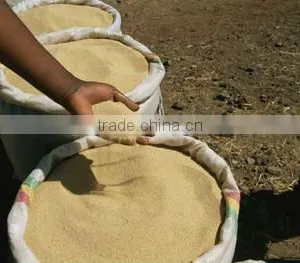 High Quality Teff for Injera thumbnail-1