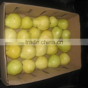 Saison 2016 Fresh Egyptian Guava thumbnail-2