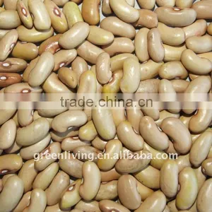 China Yellow Kidney Beans thumbnail-1