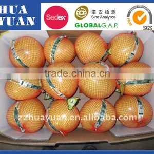 2015 Fresh GuanXi Honey Pomelo thumbnail-1