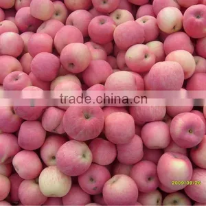 Chinese Red Fuji Apple With Good Quality & Low Price thumbnail-1