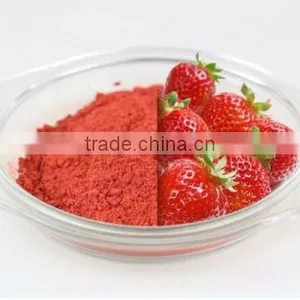 Freeze Dried Strawberry Powder - Emergency Survival Dried Food thumbnail-2