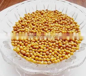 JSX Quality Mung Bean 2015 Crop Yellow Mung Bean Price Factory Price Split Green Mung Bean From Heilongjiang thumbnail-1