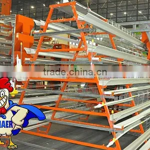 Hot Sale 5tier Types Automatic Chicken Feeding Machine for 5tier Chicken Cage thumbnail-1