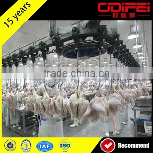 Automatic Chicken Slaughtering Equipment thumbnail-1