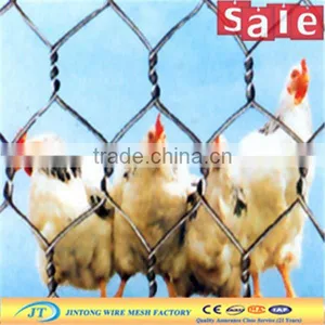 Coop Hexagonal Wire Mesh Dog Hexagonal Wire Mesh 1/2 Inch Chicken Wire Weight of Chicken Wire Mesh thumbnail-6