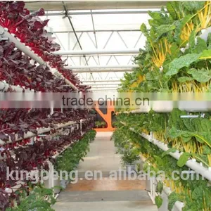 High Quality Multi-span Glass Greenhouse With Hydroponic System thumbnail-1
