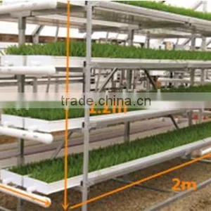 New Fodder System of Greenhouse thumbnail-1