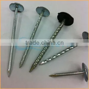 Top Quality Umbrella Head Thread Roofing Nail Trusted Chuanghe Suppliers From Com thumbnail-6