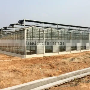 Prefabricated Agriculture Steel Structure Greenhouse thumbnail-1