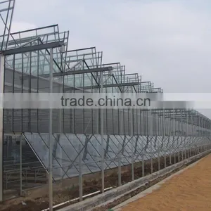 Hot Dip Galvanized Steel Structure Cultivating Glass Greenhouse Flowers thumbnail-1