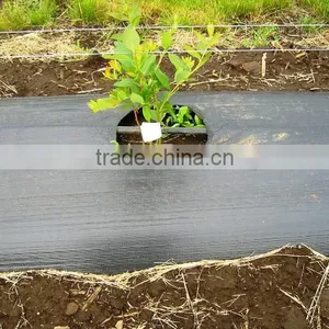 Pp/pe Woven Mesh Tree Weed Mat thumbnail-3