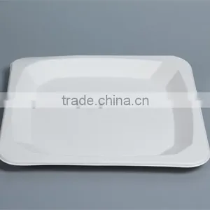 Disposable Compostable 10 Inch Food Trays Square Plates P037 thumbnail-4