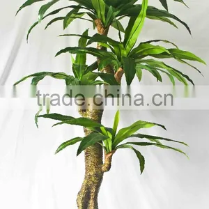 Office Decorative Green Plants thumbnail-6