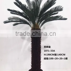 1071-32 Plastic Pot Cycads Tree thumbnail-2