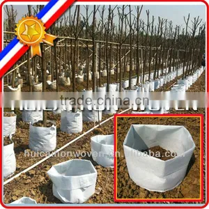 Grey Color Fiber Puncture Tree and Plant Grow Bag thumbnail-1